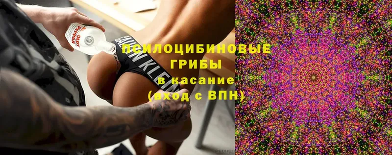 купить   Тверь  Галлюциногенные грибы MAGIC MUSHROOMS 